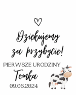 Podziękowanie dla gości - FIOLKA DRAŻETKI RÓŻNE MOTYWY CHRZEST, ROCZEK - obrazek 10