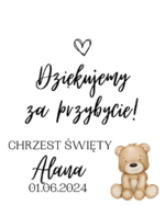 Podziękowanie dla gości - FIOLKA DRAŻETKI RÓŻNE MOTYWY CHRZEST, ROCZEK - obrazek 16