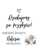 Podziękowanie dla gości - FIOLKA DRAŻETKI RÓŻNE MOTYWY CHRZEST, ROCZEK - obrazek 17