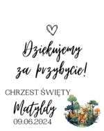 Podziękowanie dla gości - FIOLKA DRAŻETKI RÓŻNE MOTYWY CHRZEST, ROCZEK - obrazek 18