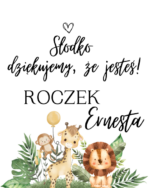 Podziękowanie dla gości - FIOLKA DRAŻETKI RÓŻNE MOTYWY CHRZEST, ROCZEK - obrazek 12