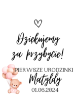 Podziękowanie dla gości - FIOLKA DRAŻETKI RÓŻNE MOTYWY CHRZEST, ROCZEK - obrazek 13