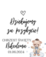 Podziękowanie dla gości - FIOLKA DRAŻETKI RÓŻNE MOTYWY CHRZEST, ROCZEK - obrazek 11
