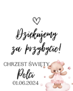 Podziękowanie dla gości - FIOLKA DRAŻETKI RÓŻNE MOTYWY CHRZEST, ROCZEK - obrazek 9