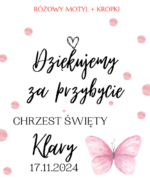 Podziękowanie dla gości - FIOLKA DRAŻETKI RÓŻNE MOTYWY CHRZEST, ROCZEK - obrazek 33