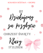 Podziękowanie dla gości - FIOLKA DRAŻETKI RÓŻNE MOTYWY CHRZEST, ROCZEK - obrazek 32