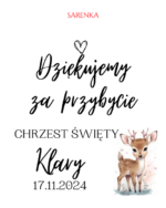 Podziękowanie dla gości - FIOLKA DRAŻETKI RÓŻNE MOTYWY CHRZEST, ROCZEK - obrazek 30