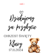 Podziękowanie dla gości - FIOLKA DRAŻETKI RÓŻNE MOTYWY CHRZEST, ROCZEK - obrazek 26