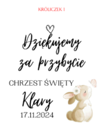 Podziękowanie dla gości - FIOLKA DRAŻETKI RÓŻNE MOTYWY CHRZEST, ROCZEK - obrazek 8