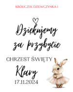 Podziękowanie dla gości - FIOLKA DRAŻETKI RÓŻNE MOTYWY CHRZEST, ROCZEK - obrazek 6