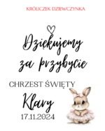 Podziękowanie dla gości - FIOLKA DRAŻETKI RÓŻNE MOTYWY CHRZEST, ROCZEK - obrazek 7