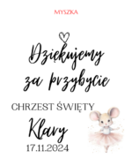 Podziękowanie dla gości - FIOLKA DRAŻETKI RÓŻNE MOTYWY CHRZEST, ROCZEK - obrazek 5