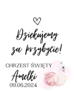 Podziękowanie dla gości - FIOLKA DRAŻETKI RÓŻNE MOTYWY CHRZEST, ROCZEK - obrazek 23
