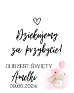 Podziękowanie dla gości - FIOLKA DRAŻETKI RÓŻNE MOTYWY CHRZEST, ROCZEK - obrazek 24