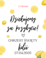 LIZAK-GRZECHOTKA słodkie podziękowania dla gości RÓŻNE MOTYWY - obrazek 30