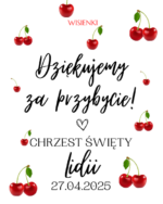 LIZAK-GRZECHOTKA słodkie podziękowania dla gości RÓŻNE MOTYWY - obrazek 29